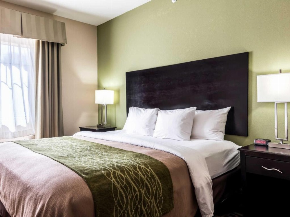 Spark by Hilton Mansfield Main image