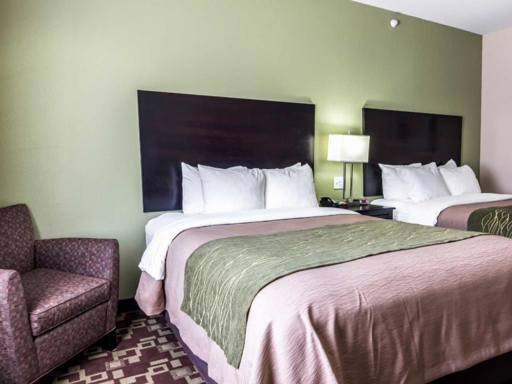 Spark by Hilton Mansfield